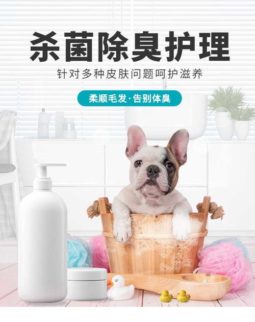 簡約設計，溫柔呵護——寵物洗護用品詳情頁 | 寵物全運會聯名手機海報長圖